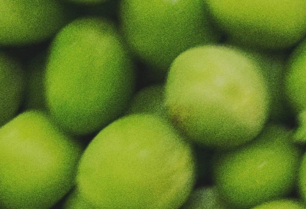 Nature's Richest Vitamin C Source (Kakadu Plum /Terminalia Ferdinandiana)